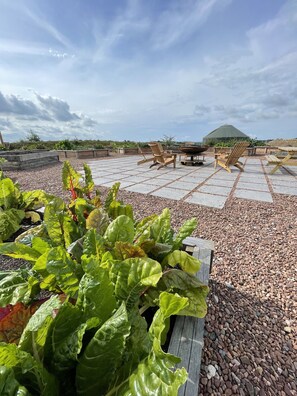 A rooftop garden with raised beds of leafy greens, wooden Adirondack chairs, and a picnic table. - Zen Jungle Retreat (Holsworthy)