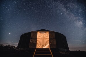 Exterior - Zen Jungle Retreat (Holsworthy)