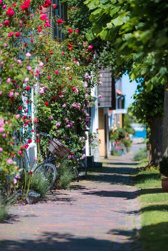 "Ocean Vibes" sea view vacation apartment on the Baltic Sea - 3 minutes' walk to the beach