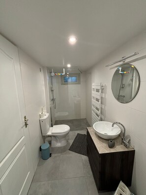 Douche, sèche-cheveux, serviettes fournies, savon