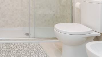 Shower, hair dryer, bidet, towels