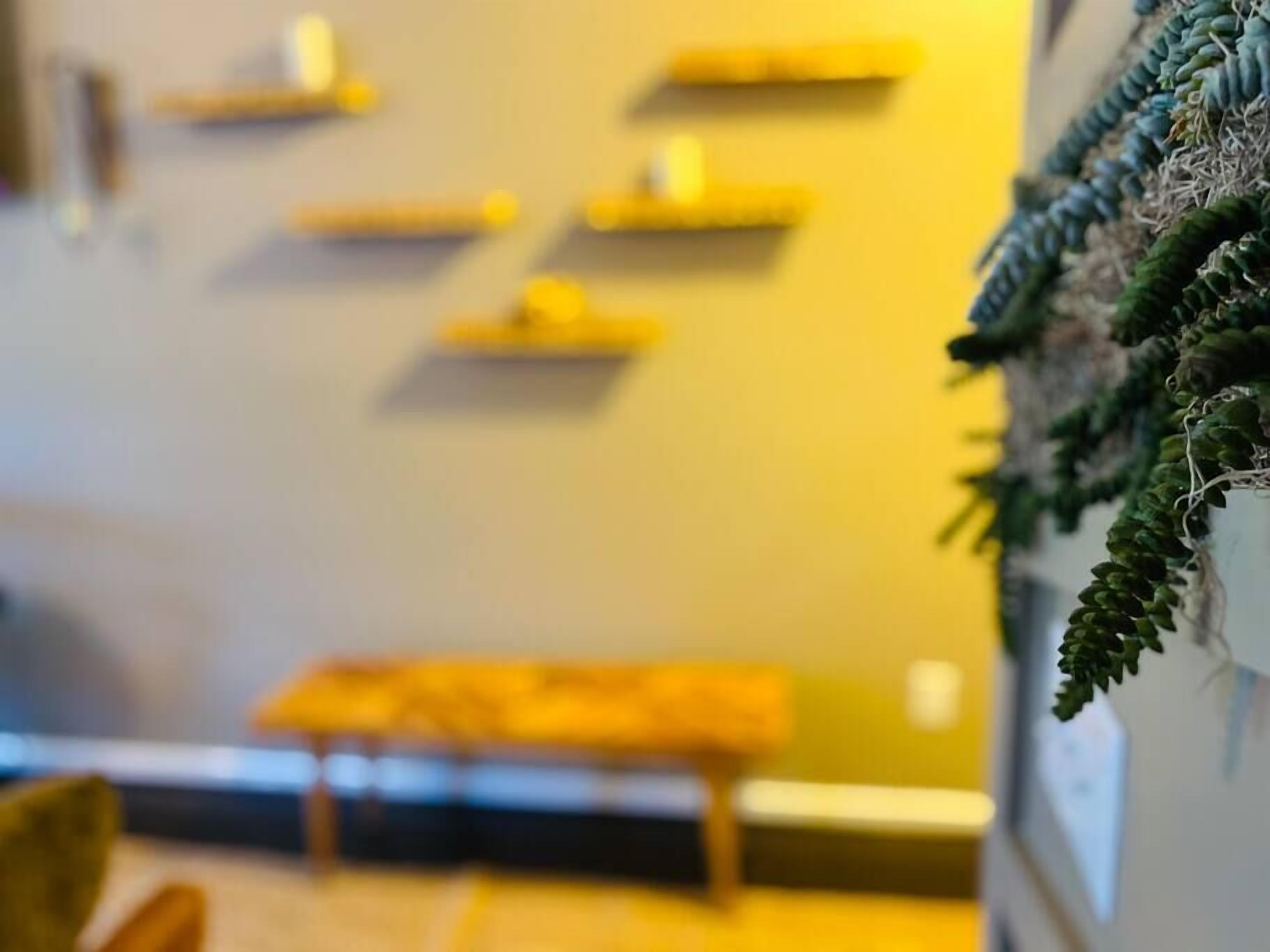 A room with a yellow wall, a small table, and a plant on the right side.
