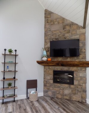 Smart-TV, Kamin