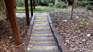 A wooden staircase leading to a covered area with a stone floor, surrounded by a wooded area. - Little Bear Cove in the Enchanted Valley of Young Harris Ga (Young Harris)