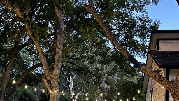 A backyard with a hammock, a wooden fence, and string lights. - New Lovely Lockhart Home with a Lawn (Lockhart)
