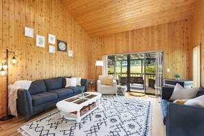 Televisión, chimenea y libros 