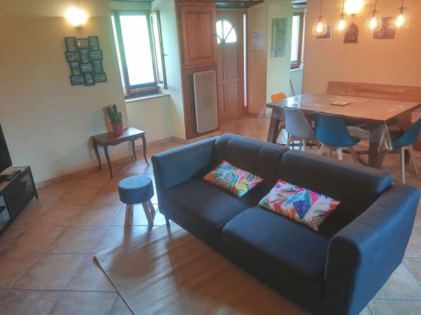 TV, fireplace, DVD player, books