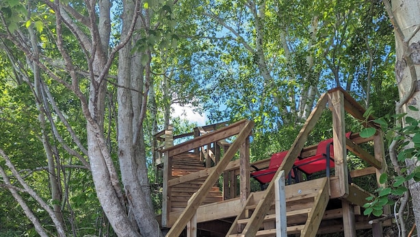 Una escalera de madera que lleva a un banco rojo en un área boscosa.