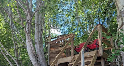 2-Bedroom Cottage On Lake Ainlsie Private Beach, Enjoy Fishing & Swimming.