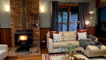 Smart TV, fireplace, books