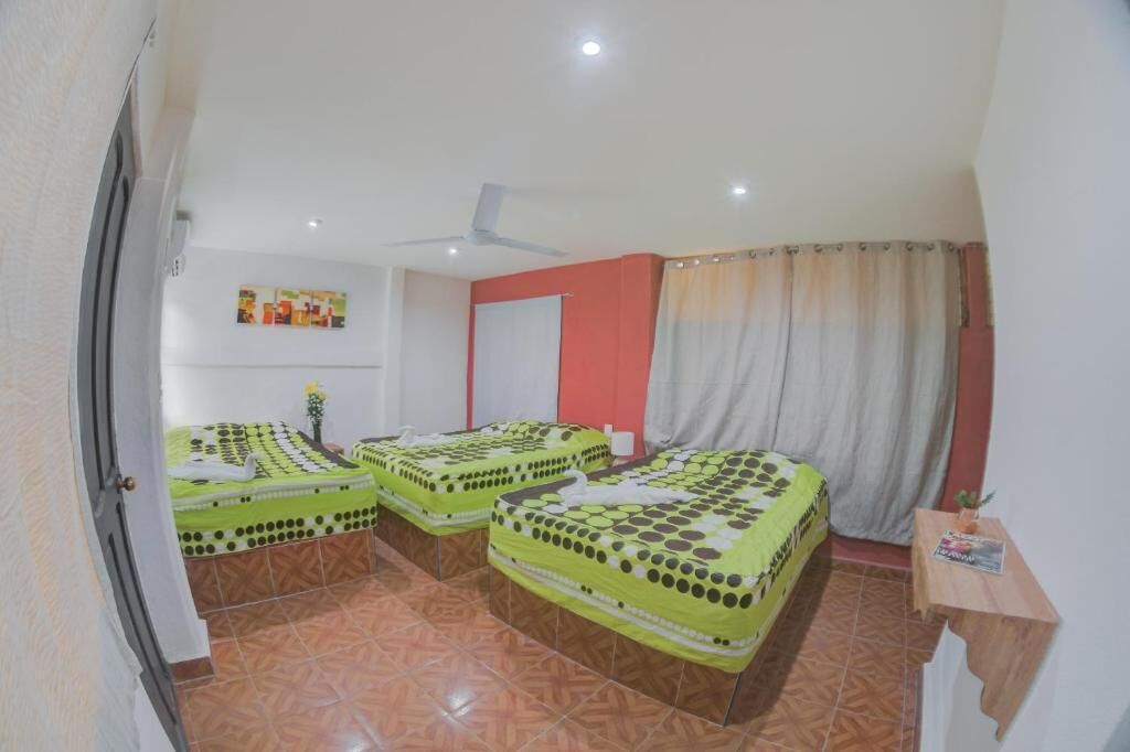 Foto - Hotel San Carlos