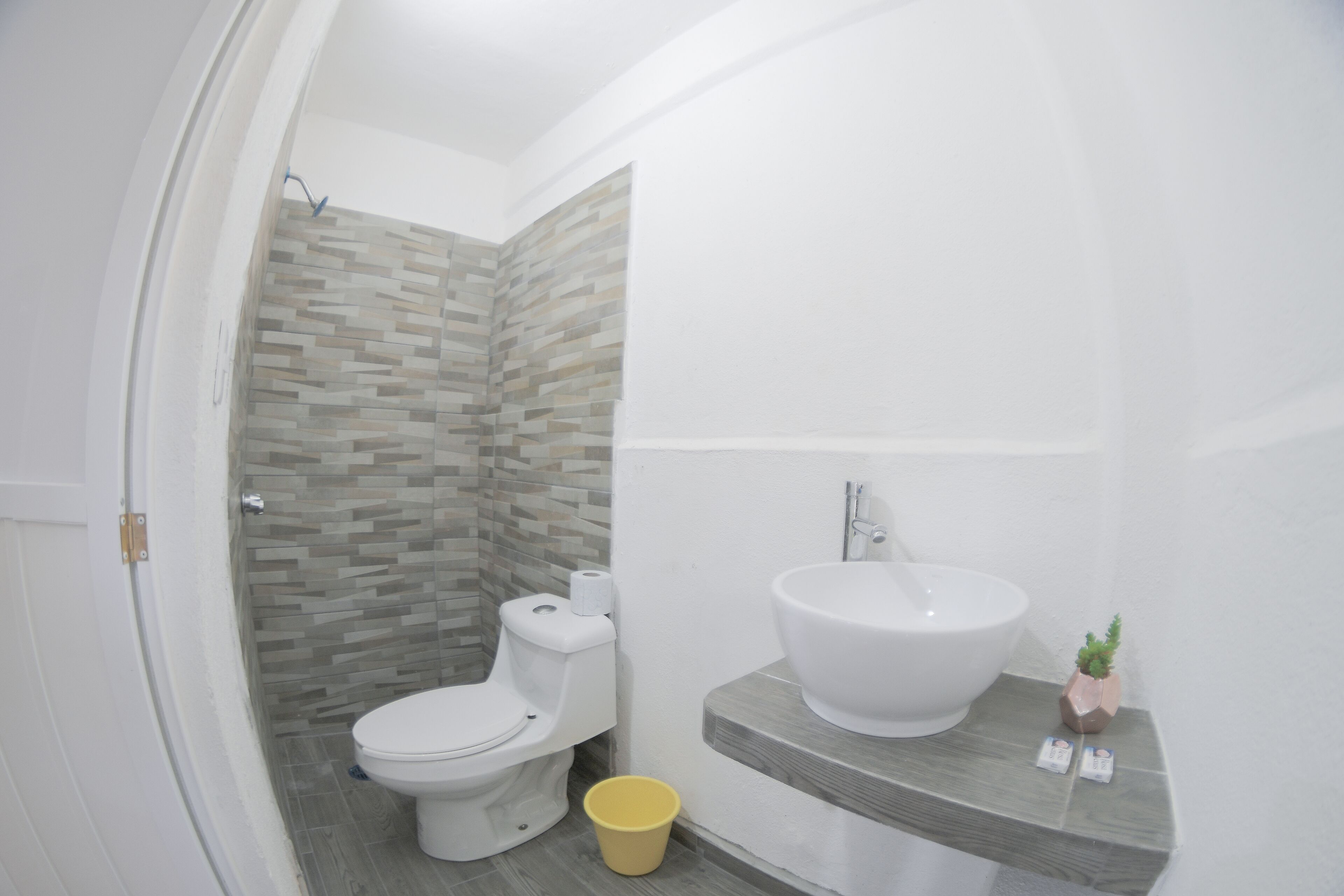 Foto - Hotel San Carlos