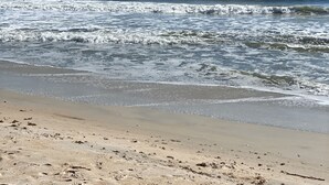 A beach with waves, clear sky, and a distant horizon. - Ocean Beach Cottage (Palm Coast)