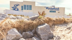 A building with a dolphin logo and the name "Marineland Dolphin Adventure" on the facade. - Ocean Beach Cottage (Palm Coast)