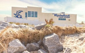 Exterior - Ocean Beach Cottage (Palm Coast)