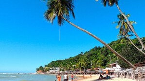 A beach with palm trees, a sandy shore, and a backdrop of lush greenery.