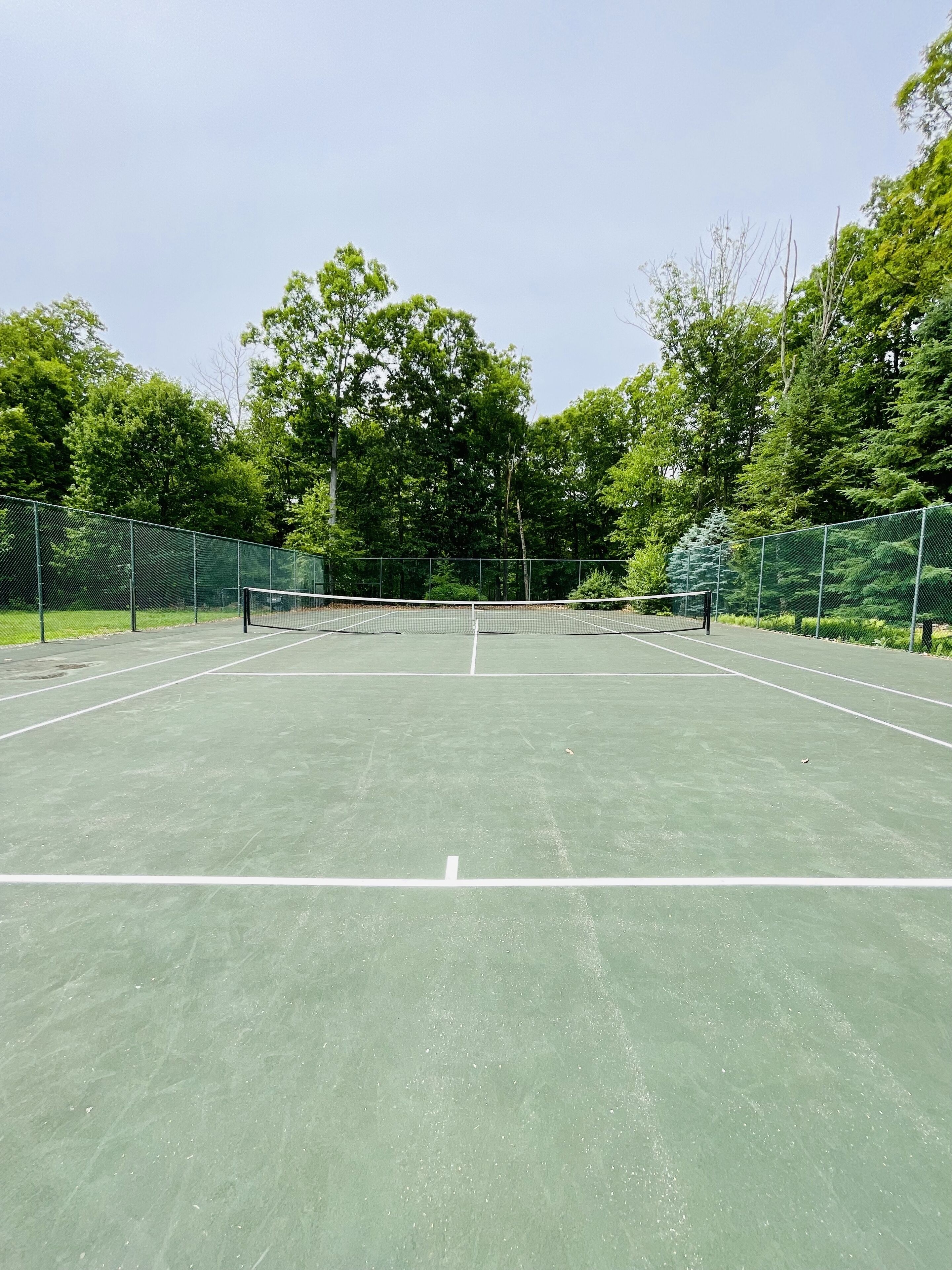 A tennis court with a net in the center, surrounded by trees and a fence.