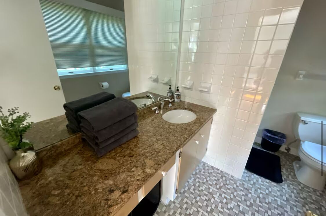 A bathroom with a granite countertop, white sink, and a mirror. There is a towel stack on the countertop and a potted plant on the left.