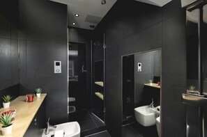 Combined shower/tub, hair dryer, bidet, towels