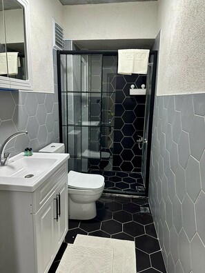 Shower, hair dryer, towels, soap