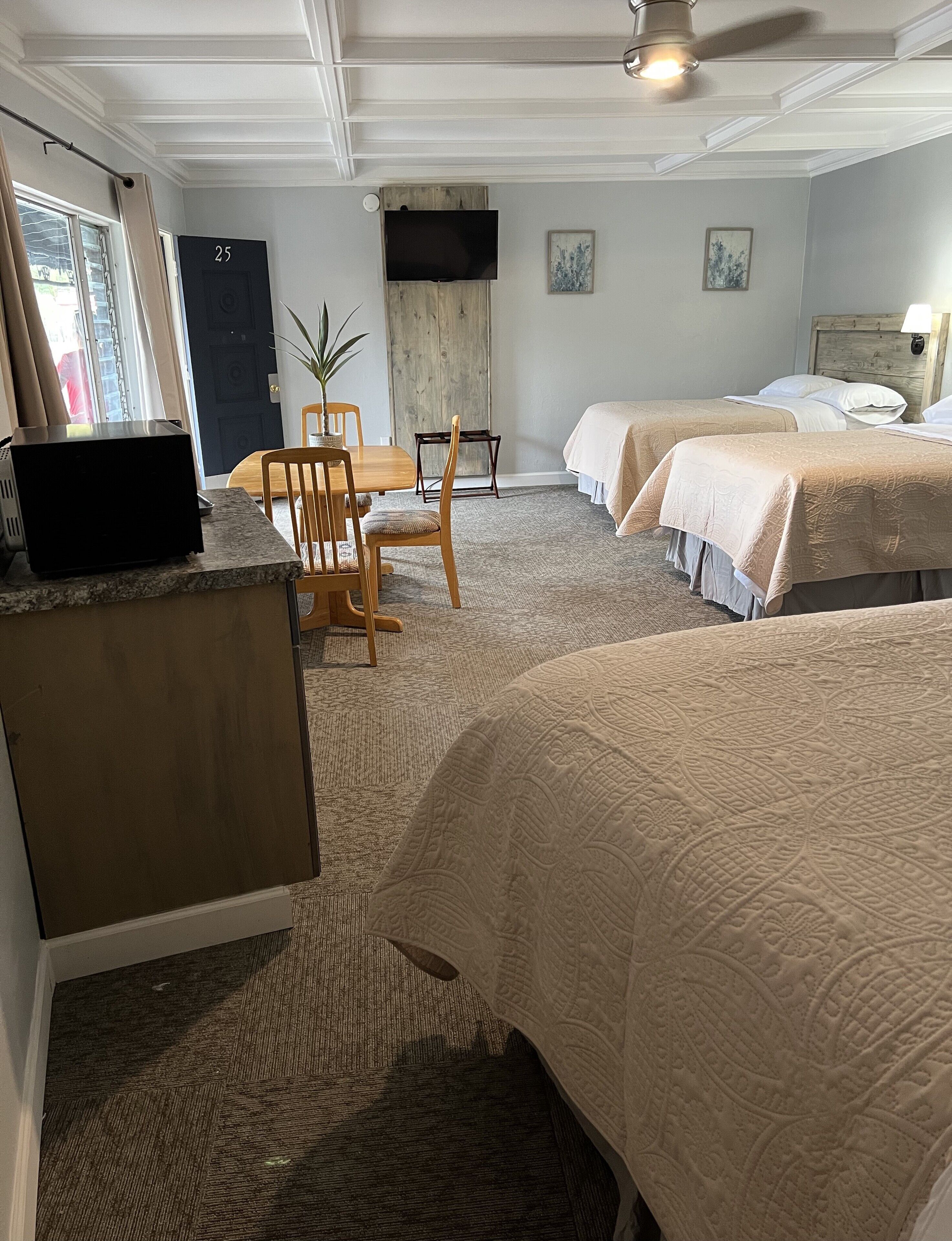 Habitación de hotel con dos camas, un escritorio con computadora, una silla, una mesita y una planta en maceta.