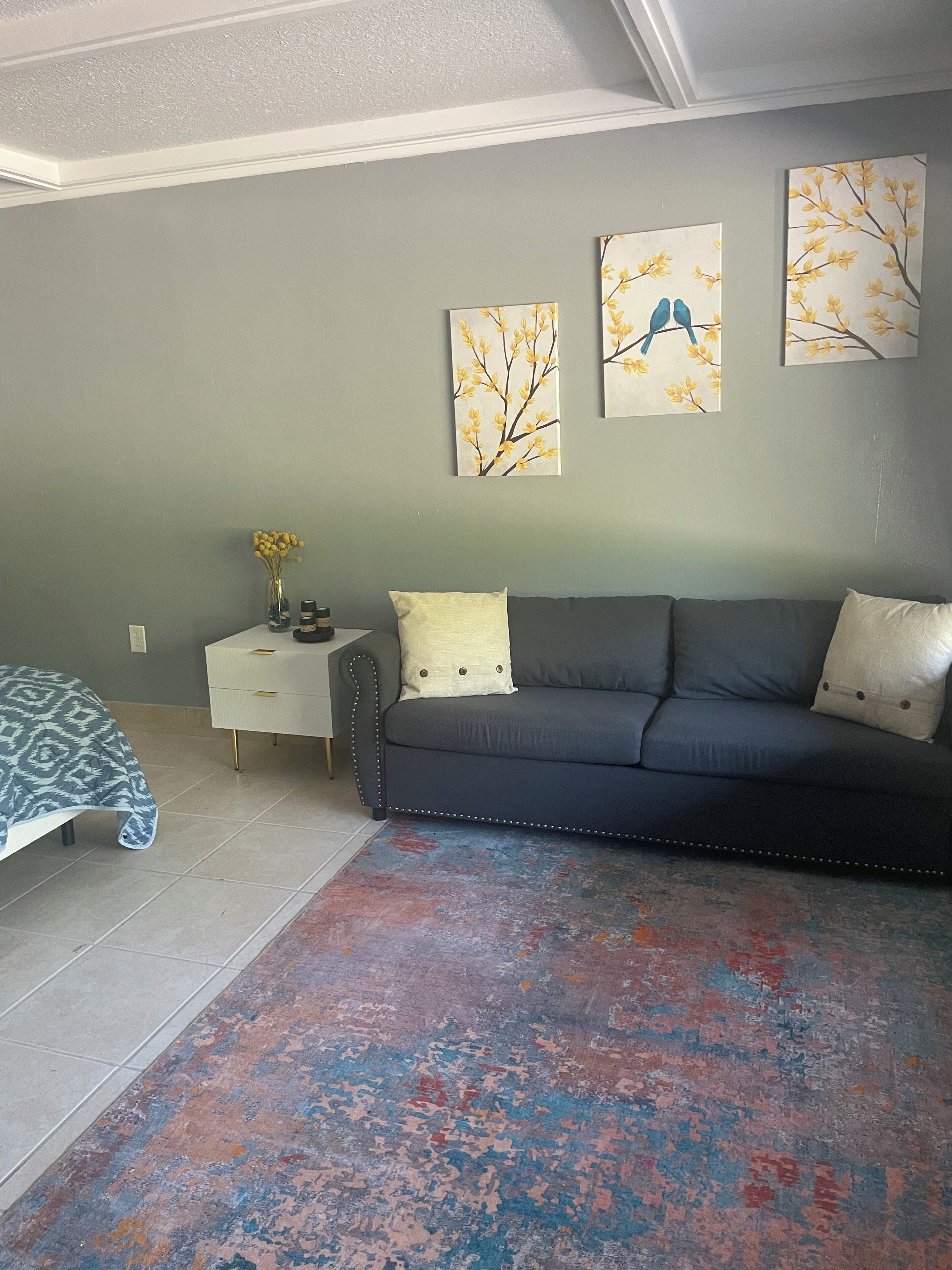 A modern bedroom with a grey sofa, a patterned bedspread, and a colorful rug. There are three wall-mounted paintings depicting birds and branches.