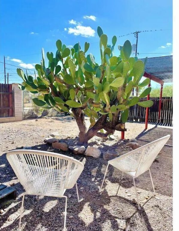 Property grounds - Retro Renovated Casita blocks from UofA & 4th Ave! (Tucson)