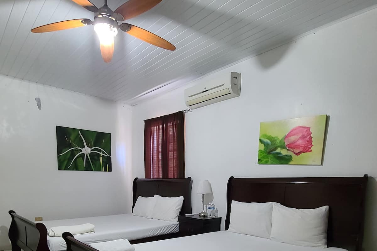 A hotel room with two single beds, a ceiling fan, an air conditioner, and two wall-mounted paintings.