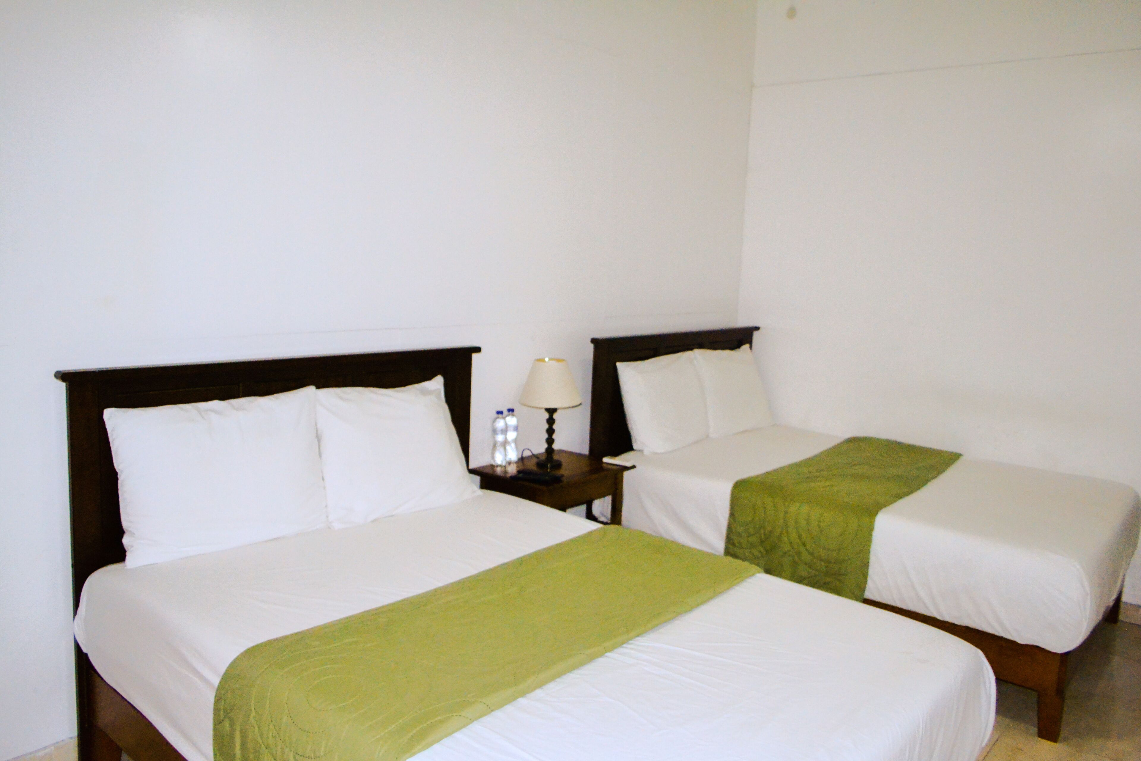 Two single beds with white bedding and green throw blankets, a nightstand with a lamp, and a bottle of water.