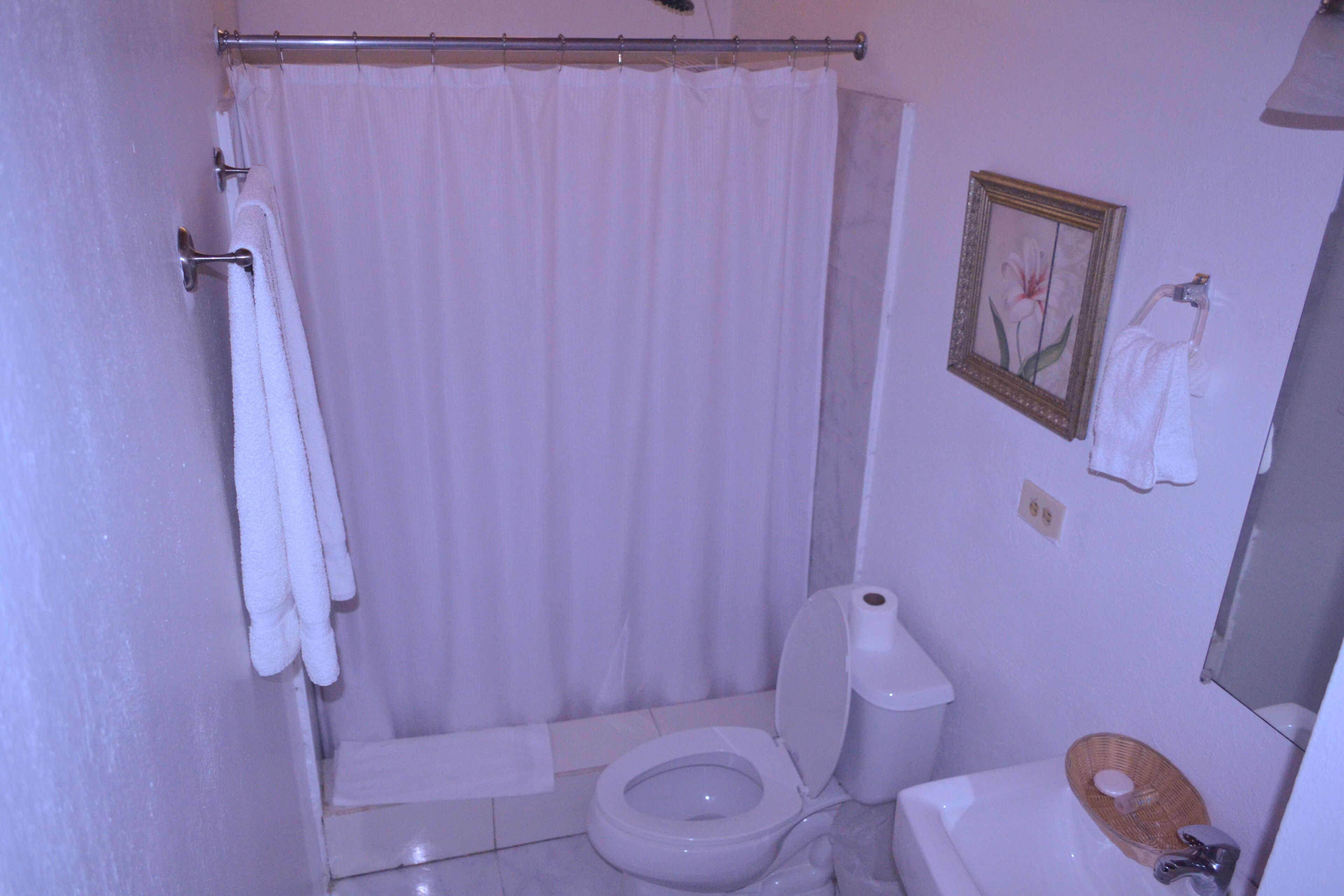 Foto - Habitation Des Lauriers