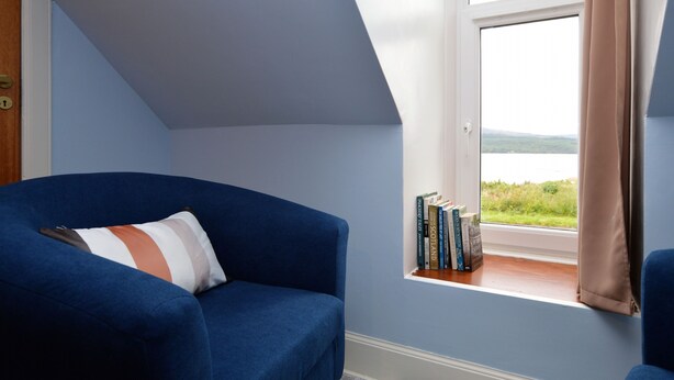 Een kamer met een blauwe fauteuil, een raam met uitzicht op groen en een boekenkast vol boeken.