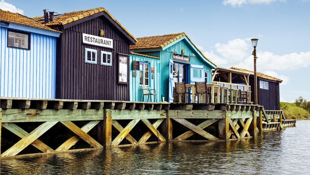 Eksteriør