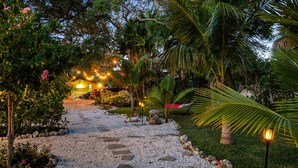 A gravel pathway leading to a building with string lights, surrounded by lush greenery and palm trees. - Funky coconut luxury apartment (Dunedin)