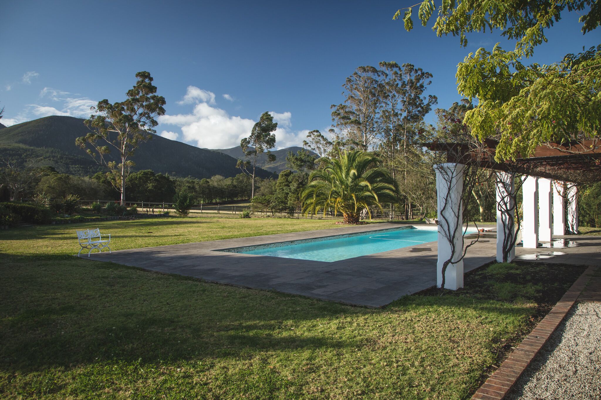 Una piscina con césped, árboles y un edificio con columnas.