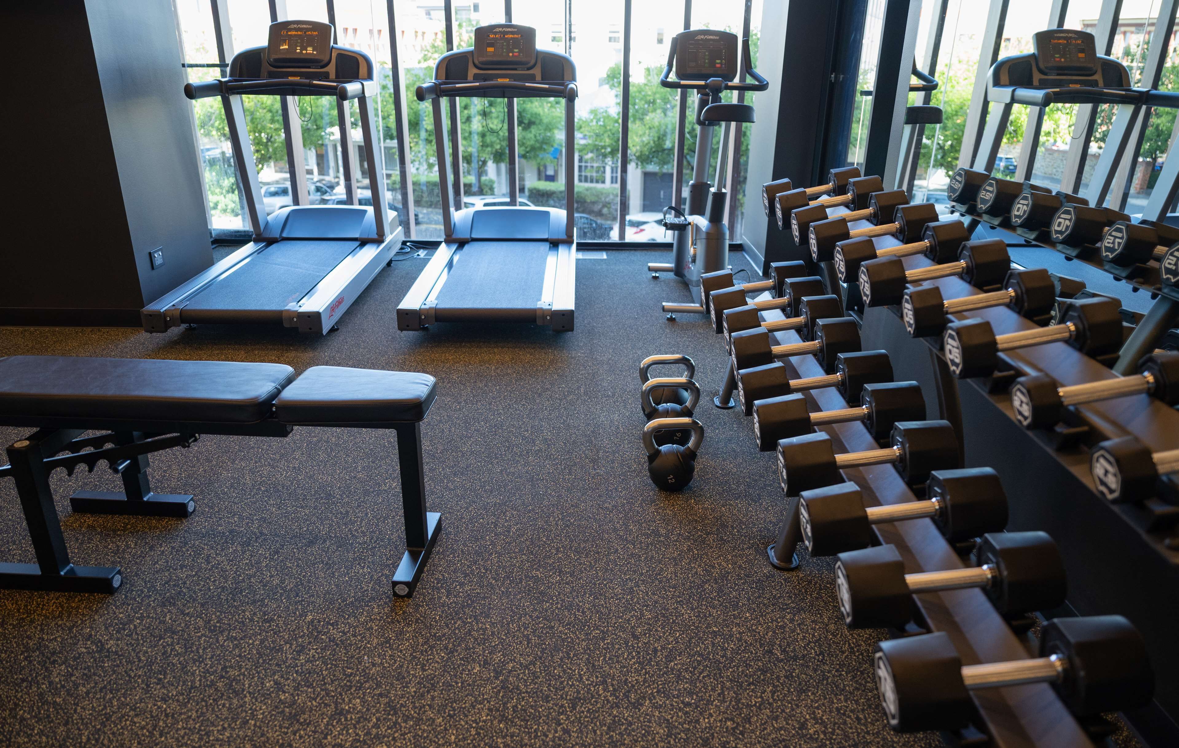 A gym with treadmills, dumbbells, and a bench.