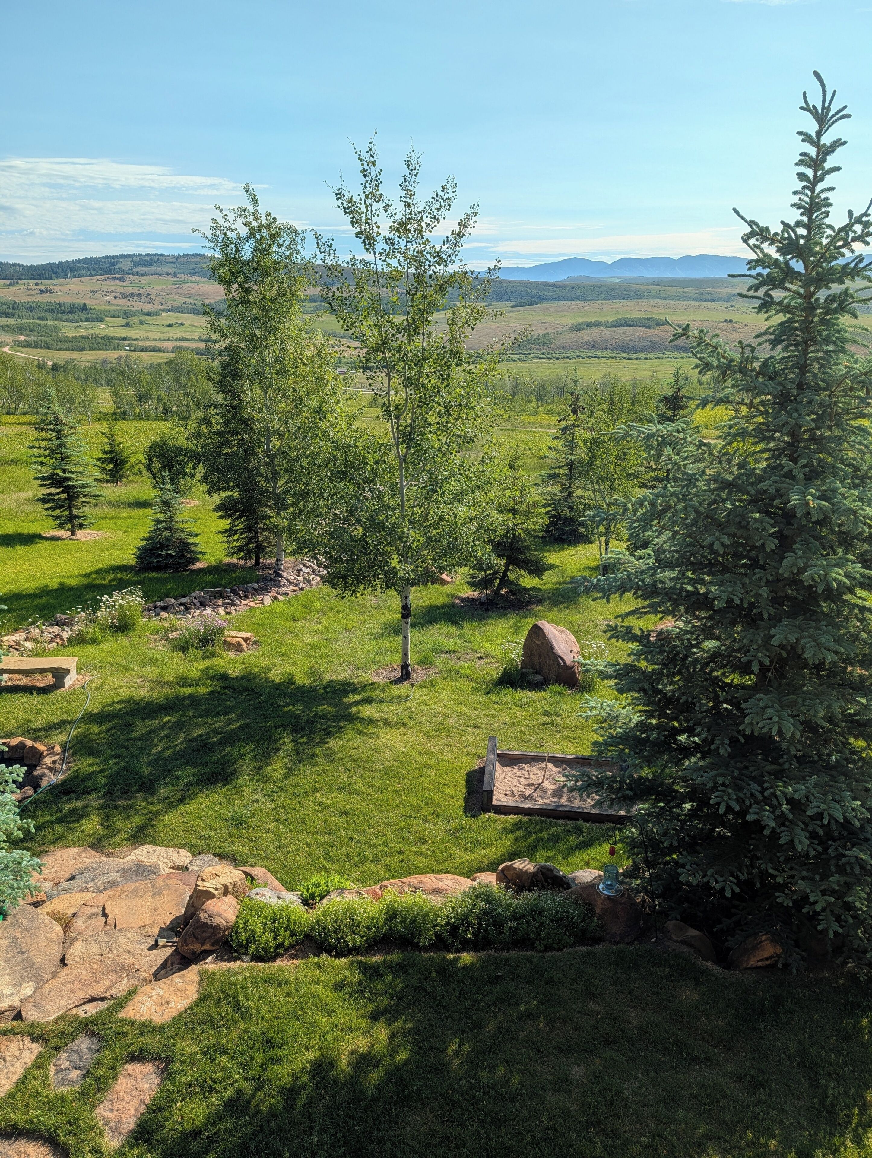 A landscaped garden with trees, rocks, and a clear view of distant hills.