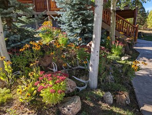 Property grounds - Private getaway near Bear Lake, ATV hike, cave tours, and kayaking, game room. (Ovid)