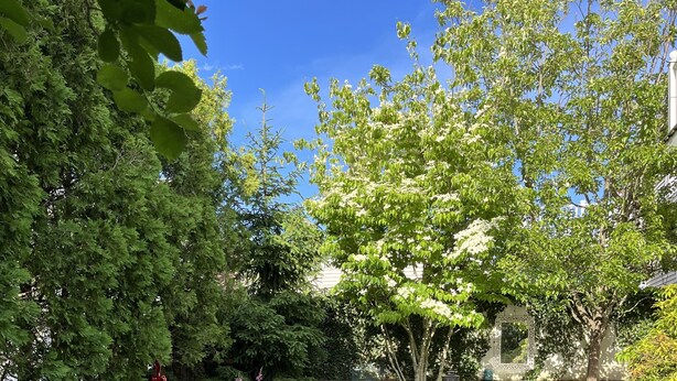 A garden patio with stone flooring, potted plants, and a metal table and chairs. - 1-bedroom in the Borough, just steps to the water (Stonington)