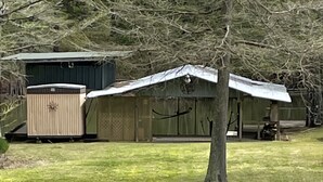 Une cour clôturée avec un abri de jardin, un arbre et un bâtiment doté d’un toit en pente.