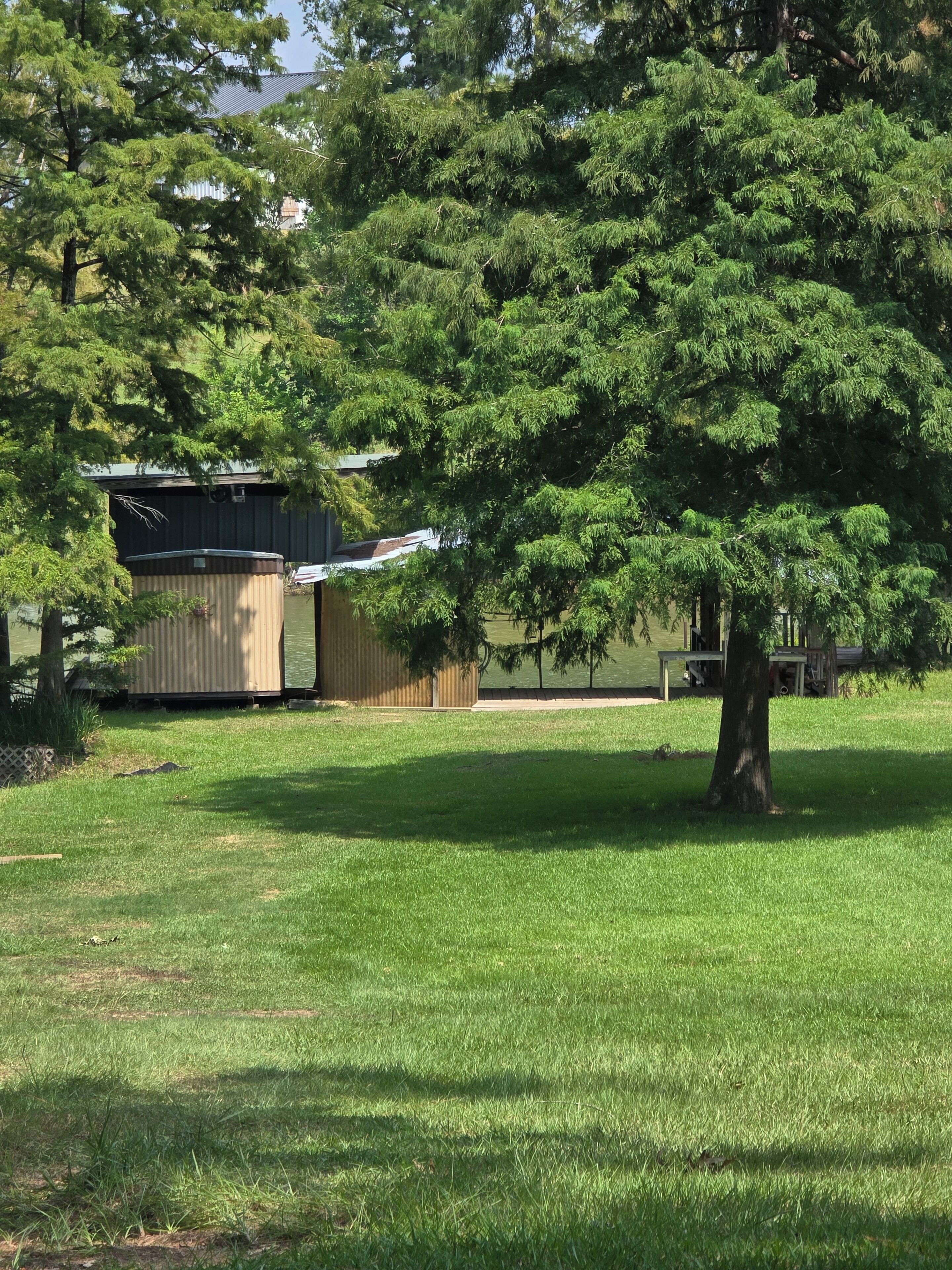 A grassy area with a large tree and a building with a corrugated metal roof.