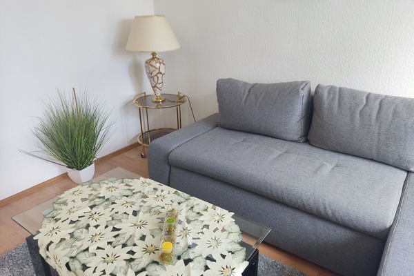 Smart-TV, Bücher