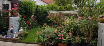 Beautiful 3-room vacation apartment on the outskirts of Frankfurt