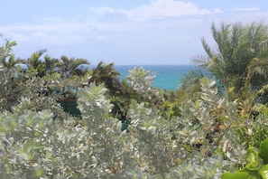 Villa Lagon jardin d'ornement puis vue mer depuis la villa Lagon - Villa Lagon 2 people, sea view, in the heart of the Riviera of the Guadeloupe Islands (STE ANNE)