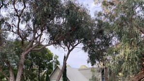 Une maison avec un toit en pente, entourée d’une pelouse bien entretenue et de plusieurs arbres adultes.