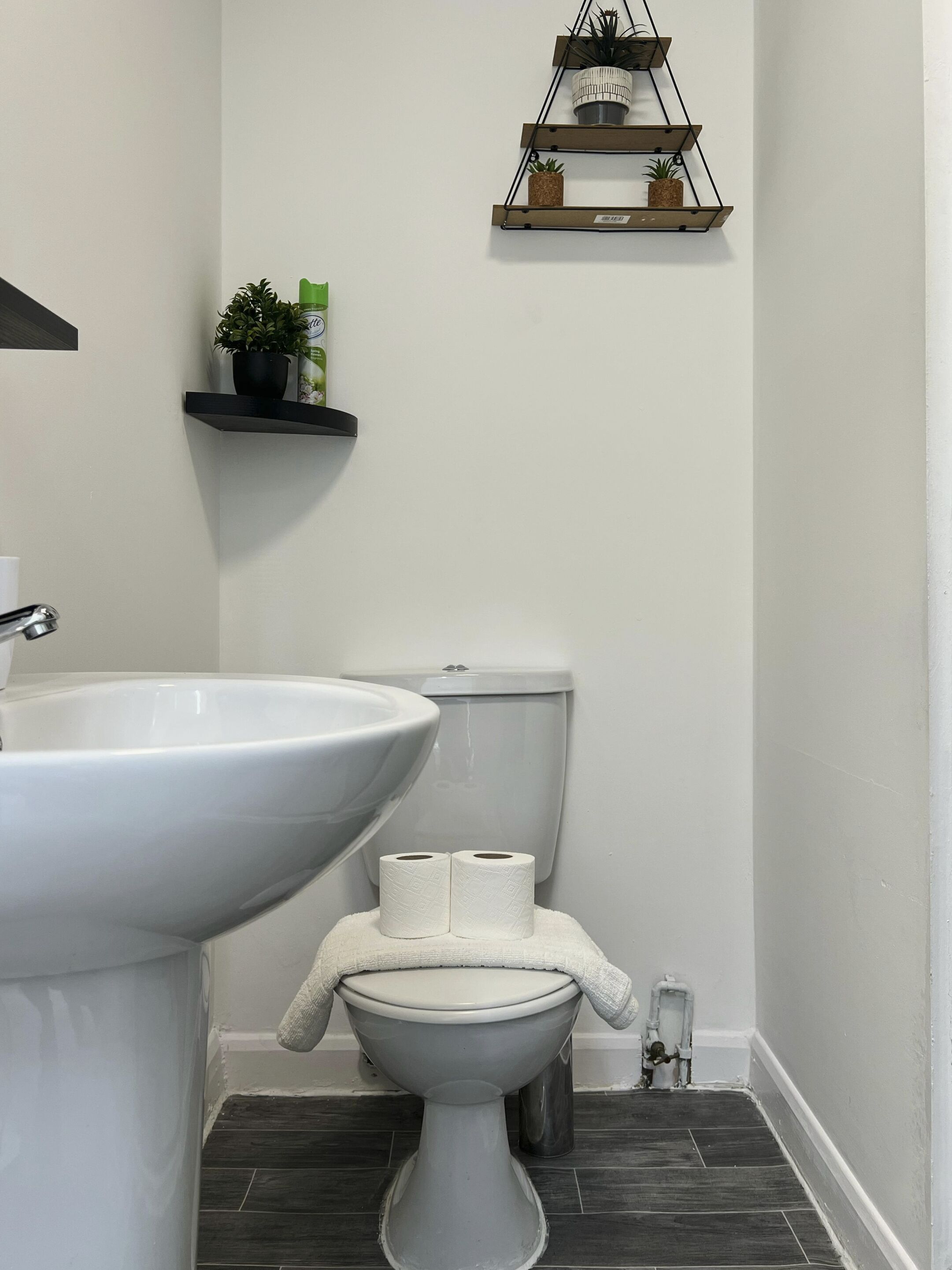Un baño con lavabo blanco, inodoro y suelo de baldosas oscuras. Hay una repisa con plantas y una pequeña maceta en la pared.
