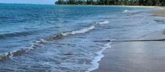 Edge of El Yunque Rainforest Air conditioned