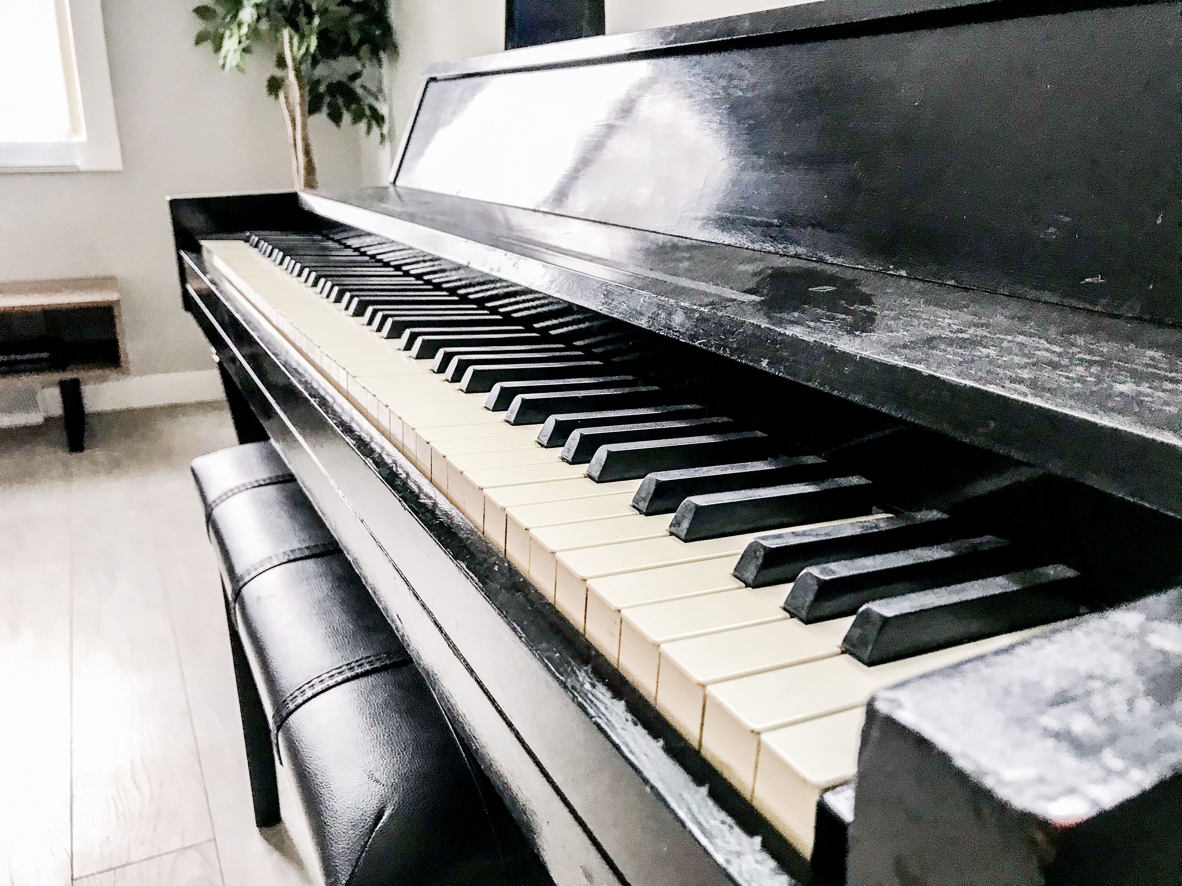 A piano with a black and white keyboard, positioned in a room with a bench and a plant in the background.