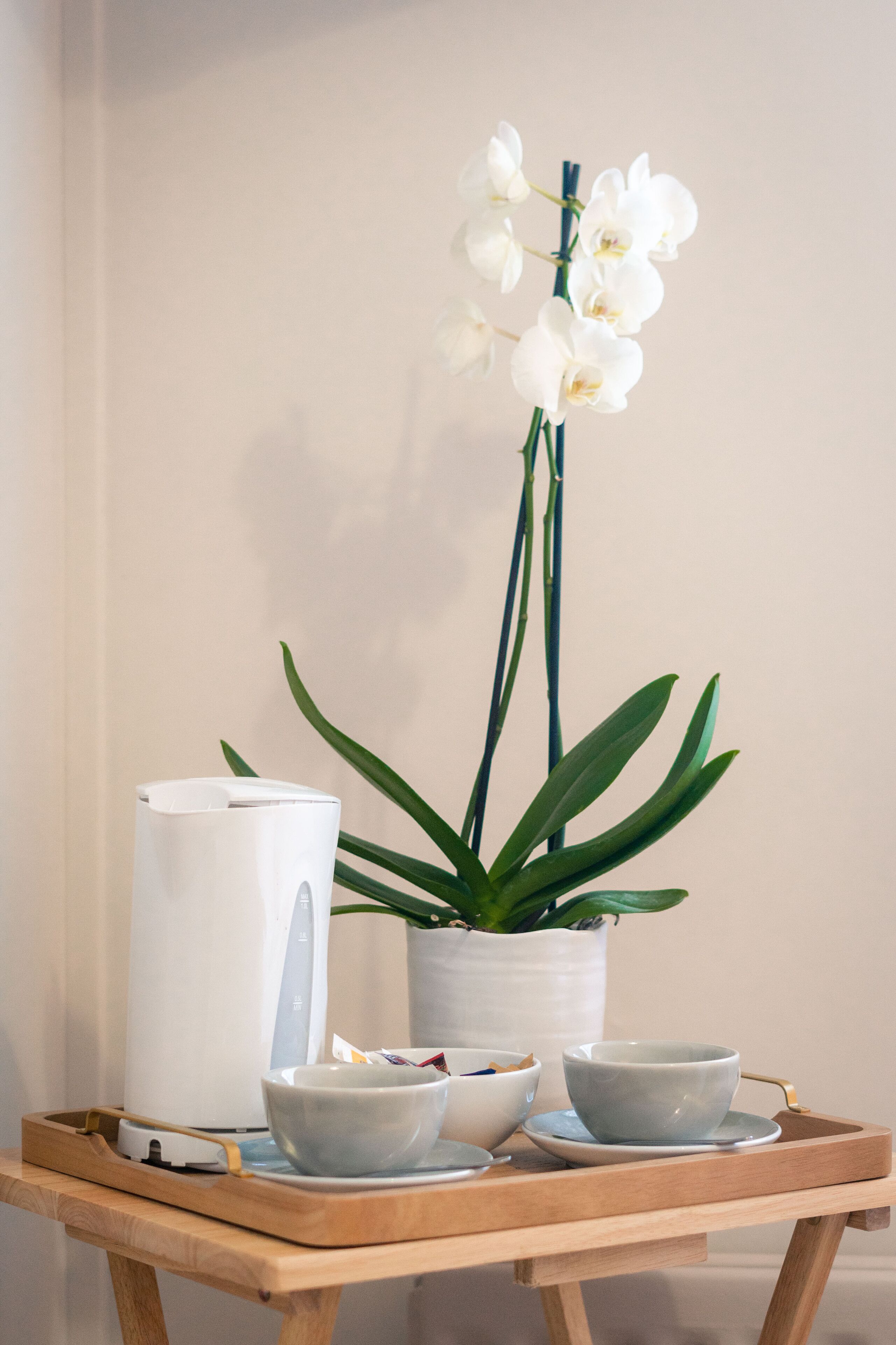 A tray with a white candle, two bowls, and a potted plant with white flowers.