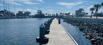 Bayou Beauty on the Gulf Coast