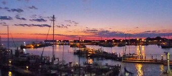Bayou Beauty on the Gulf Coast